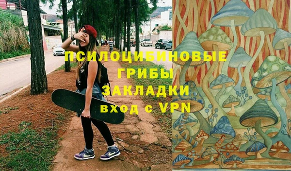 дмт Армянск