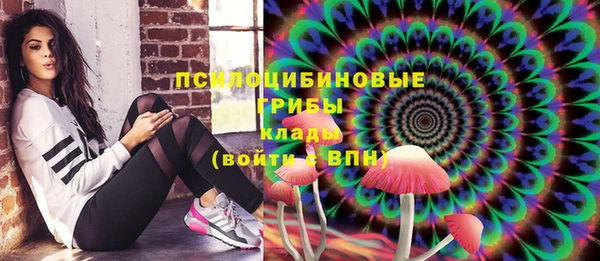 молекула духа Аркадак