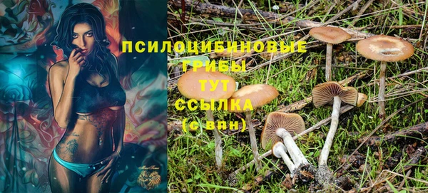дмт Армянск