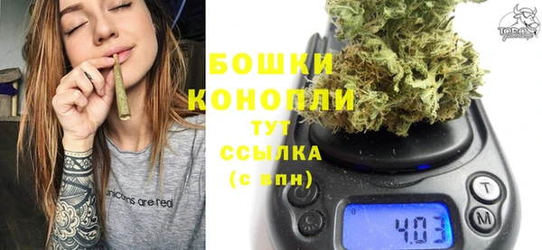 молекула духа Аркадак