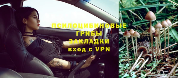 молекула духа Аркадак
